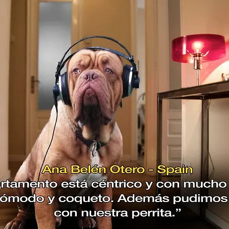 Livingporto Boavista Apartament *