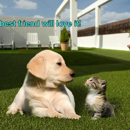 Livingporto Boavista *