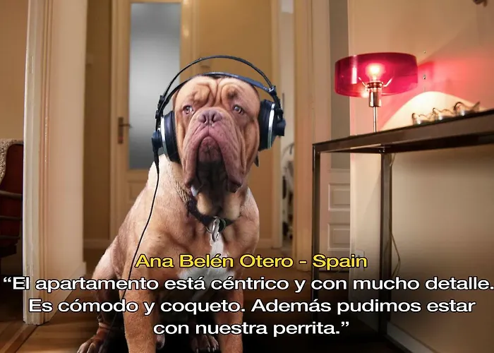 Livingporto Boavista Lejlighed *