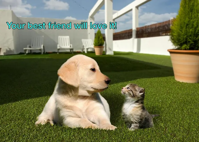 波尔图博阿维斯塔酒店 *